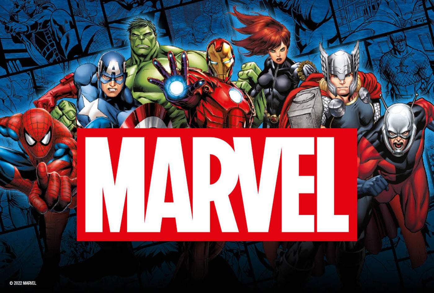 Marvel Logo Merch