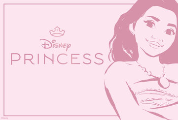 Disney Princess / Ontdek het nu!