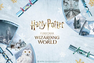 Christmas in the Wizarding World / Ontdek het nu!