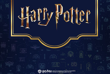 Duik in de betoverende wereld van Harry Potter! / Ontdek het nu!