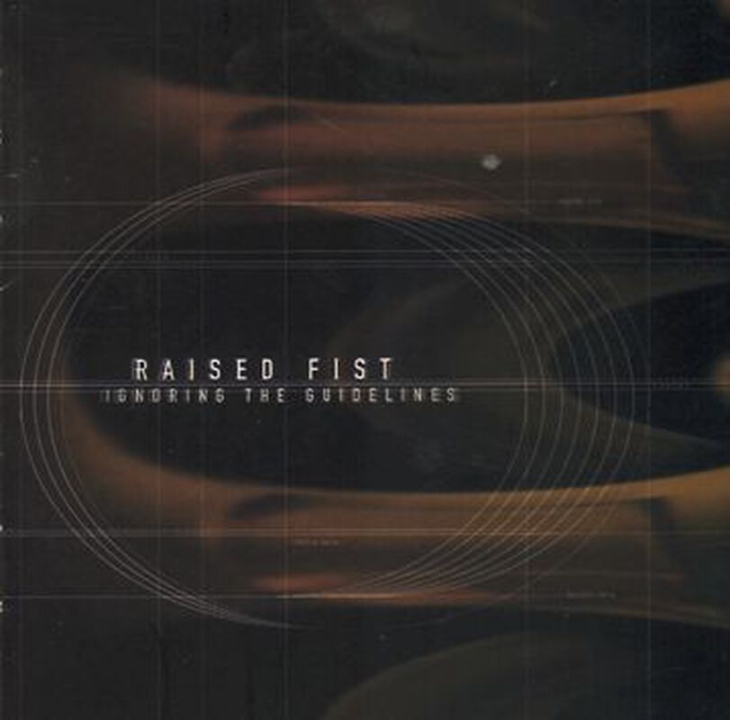 Raised Guidelines Ignoring the guidelines | Raised Fist LP | Large