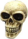 Skull Gear Knob, Nemesis Now, 661