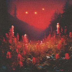 Superbloom, Silent Planet (Band), LP