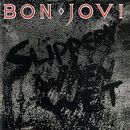 Slippery when wet, Bon Jovi, CD
