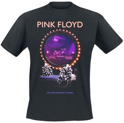 Delicate Sound Of Thunder Stage, Pink Floyd, T-shirt