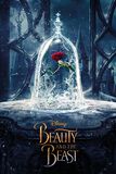 Enchanted Rose, Beauty and the Beast, Poster
