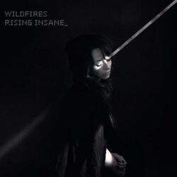 Wildfires, Rising Insane, CD