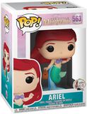 Ariel Vinylfiguur 563