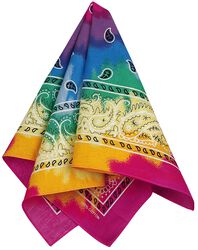 Tie Dye Paisley Rainbow