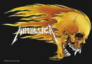 Skull & Flames, Metallica, Vlag