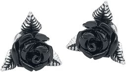 Black Rose Ear Studs, Alchemy Gothic, Oorbellenset