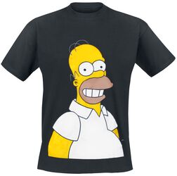 Homer - Big Head