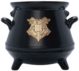 Cauldron 3D, Harry Potter, Kop