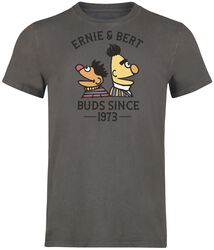Ernie & Bert - Bros since 1973, Sesame Street, T-shirt