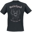 Grey Warpig, Motörhead, T-shirt