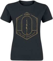 Hogwarts Legacy - Wand, Harry Potter, T-shirt